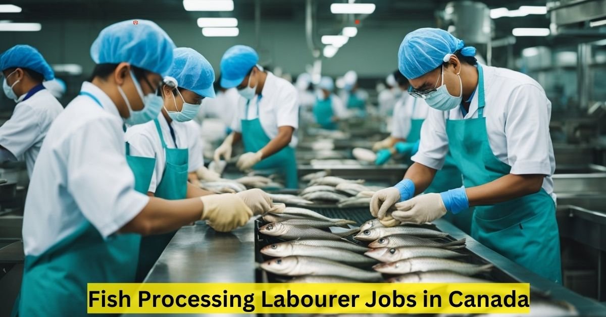 Fish Processing Labourer Jobs in Canada